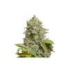CBD Critical XXL Auto, Фасовка: 5